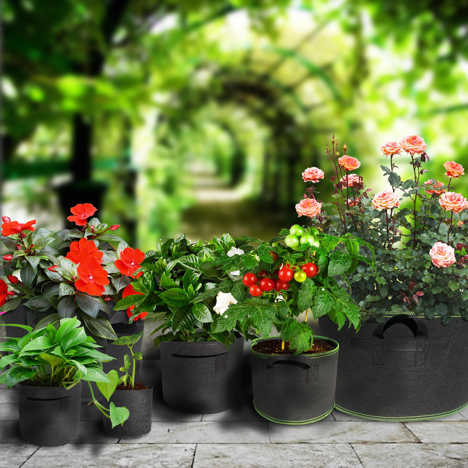 Unmatched Portability and Space Optimization Benefits