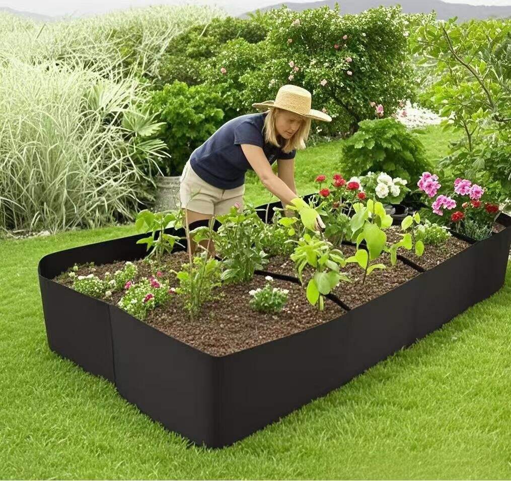 Revolutionary Root Zone Management Technology
