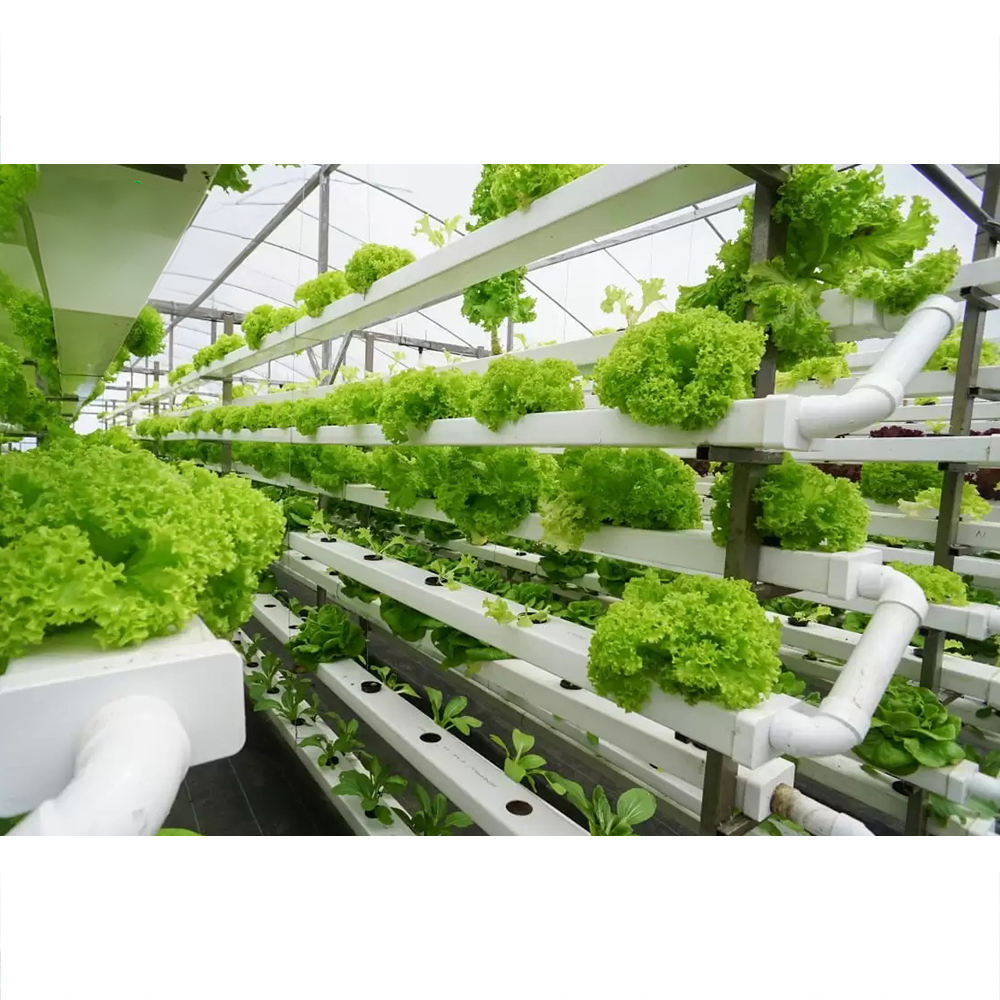 Solução Escalável de Agricultura Urbana com Requisitos Mínimos de Infraestrutura