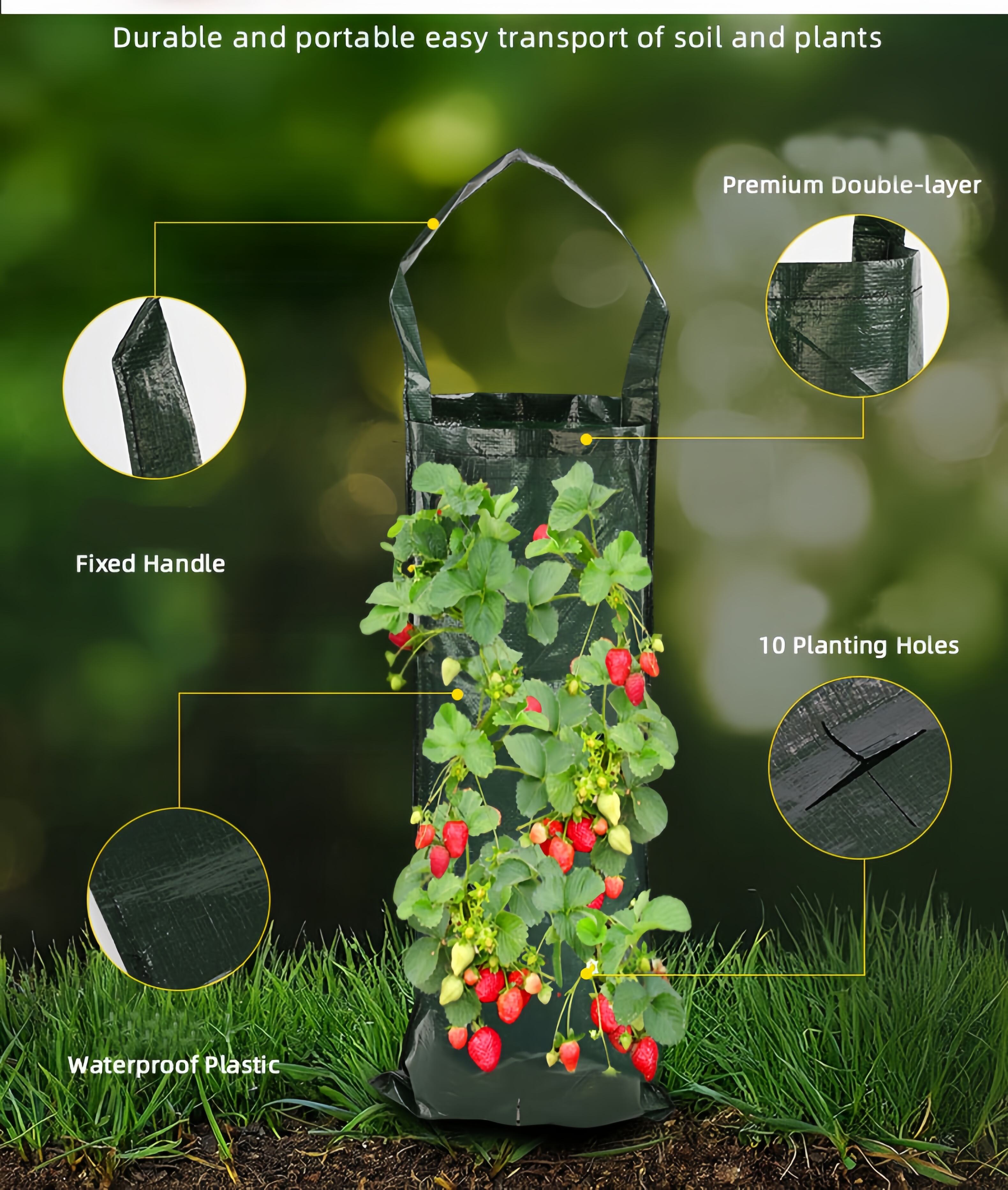 product big size pe material plant bag felt nursery garden fruit vegetable plant pot grow bag strawberry cultivation bag with 6 hole-2