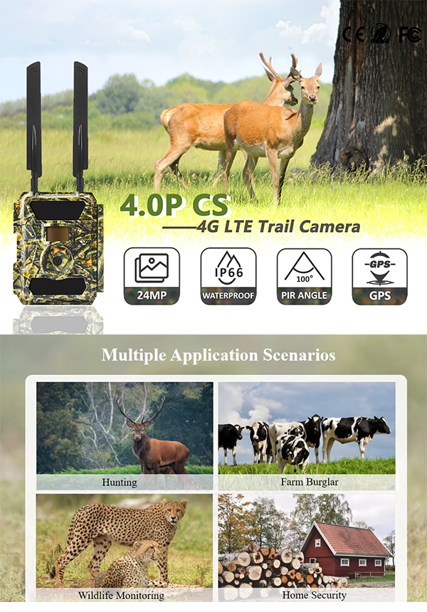 The Rise of 4G WiFi Hunting Cameras in Outdoor Adventures