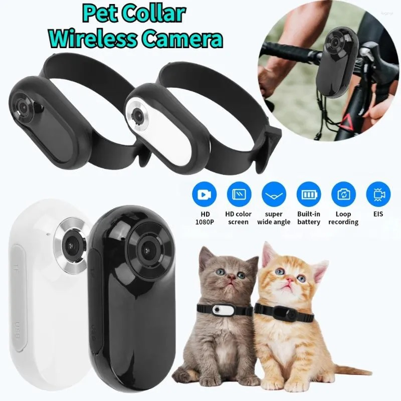 The Future of Pet Cameras in Pet Care