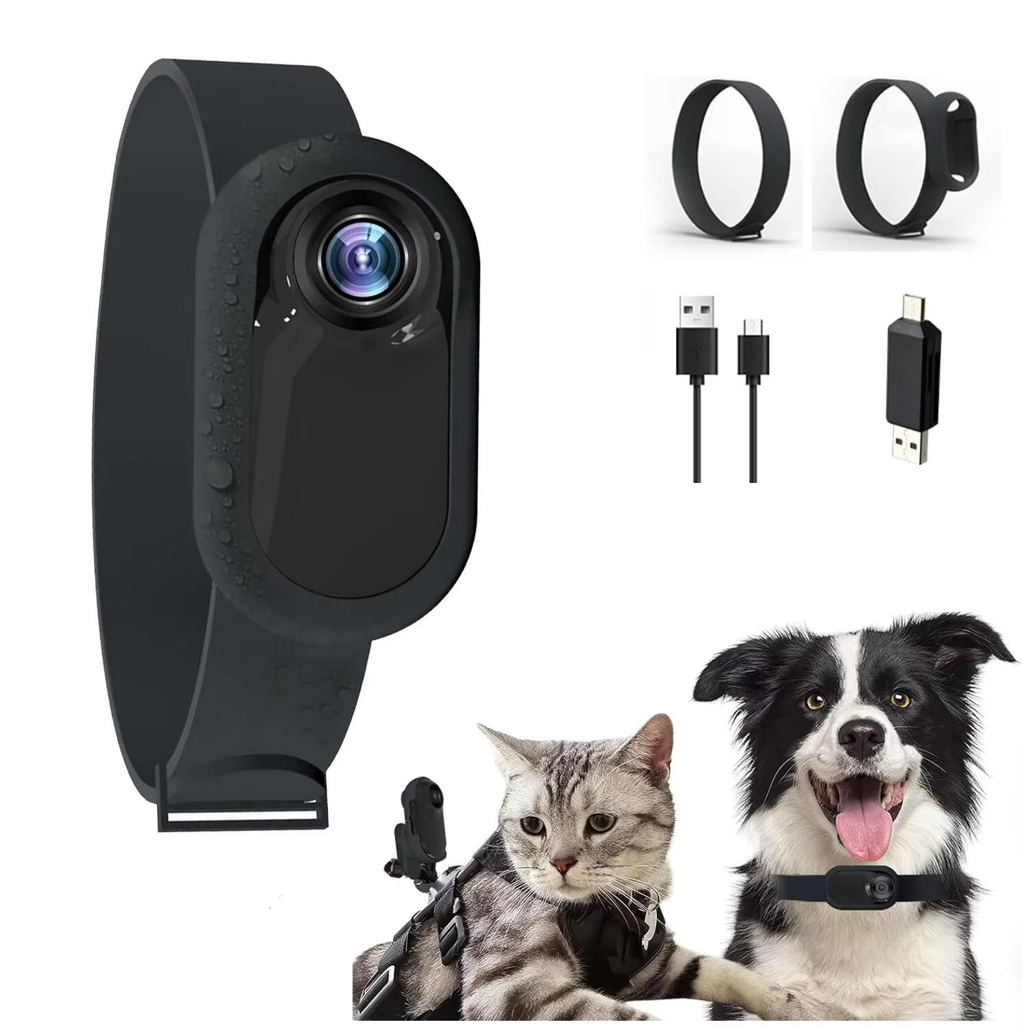 Pet camera