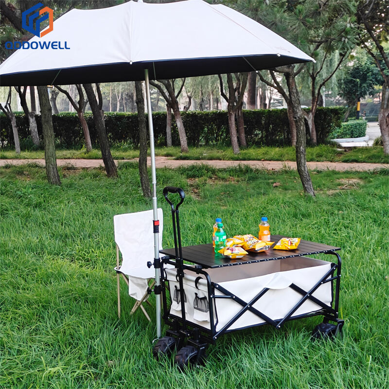 Collapsible Folding Wagon Cart Heavy Duty Foldable Beach Wagon with Umbrella and Big Wheels