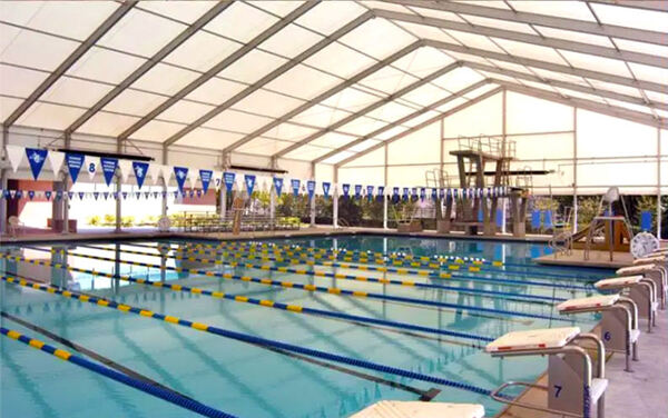 swim.jpg