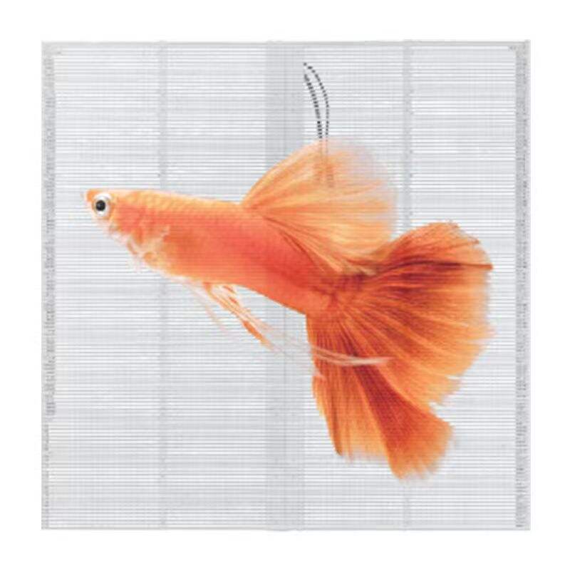 Outdoor Waterproof Transparent Screen