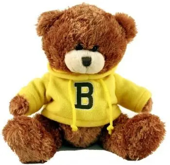 Custom Teddy Bear Plush Toys Custom Made Embroidered Logo with T Shirt 