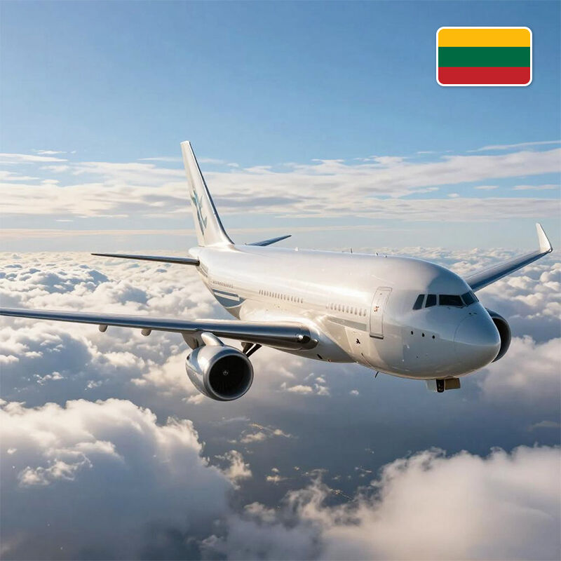 forwarder de carga envío aéreo desde China a Lituania