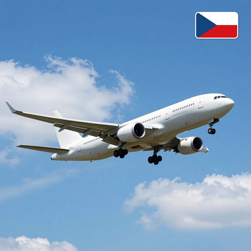 체코 공화국으로의 도어 투 도어 항공 운송 중국 화물 전문업체