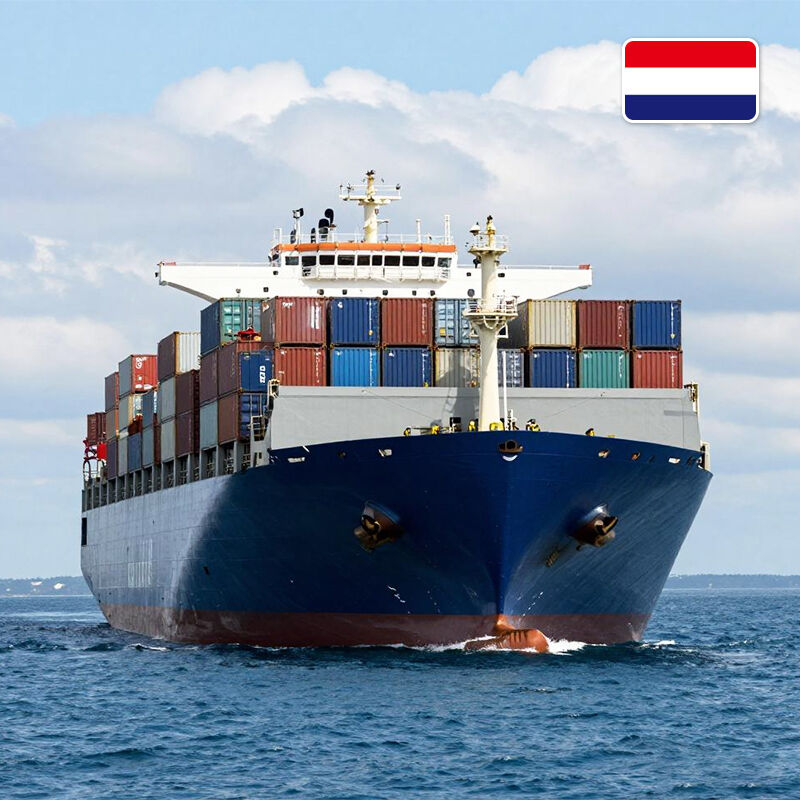 transport maritime de la Chine aux Pays-Bas transporteur de fret