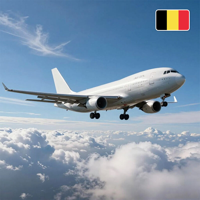 벨기에로의 도어 투 도어 공수 운송 중국 화물 전달인