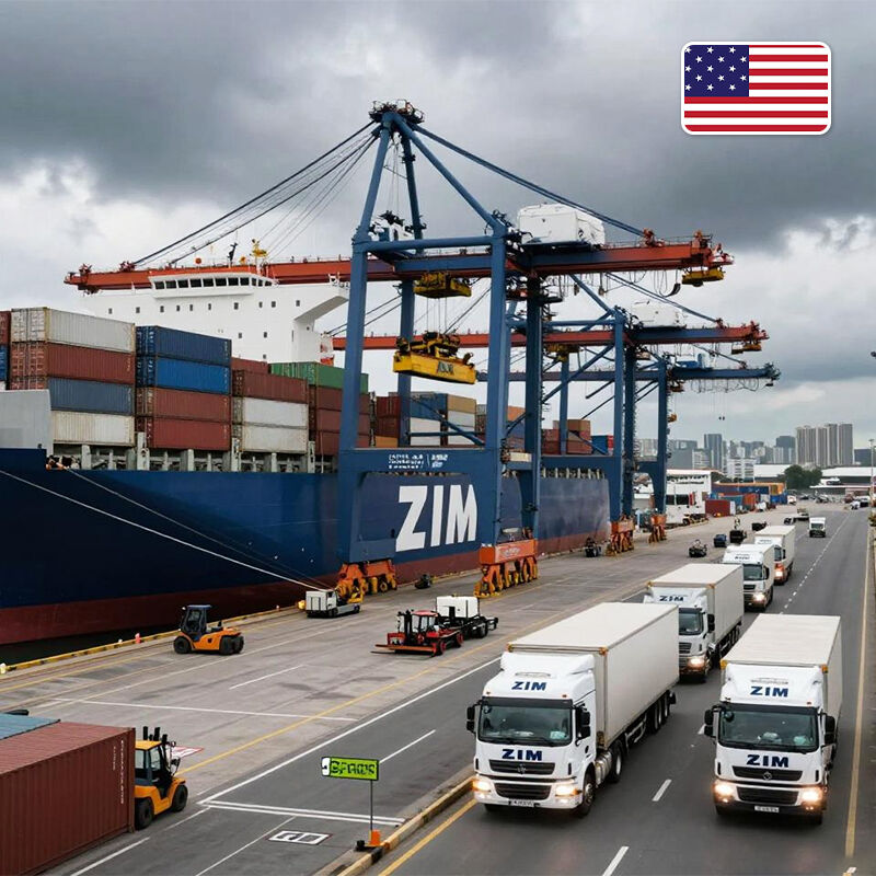 zim sea shipping export to usa door to door chinese freight forwarder