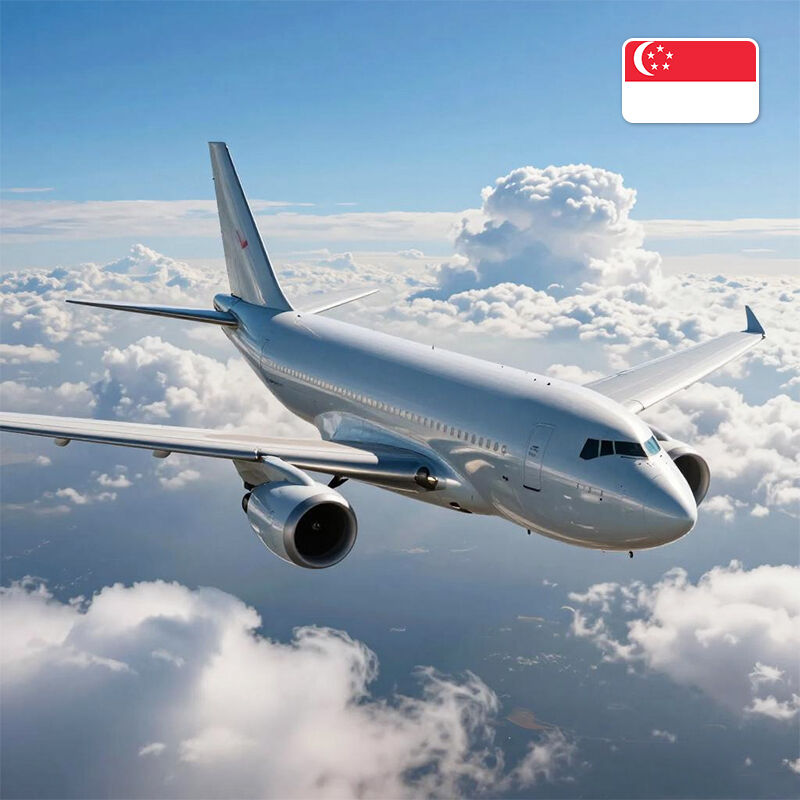 transporte marítimo internacional a Singapur