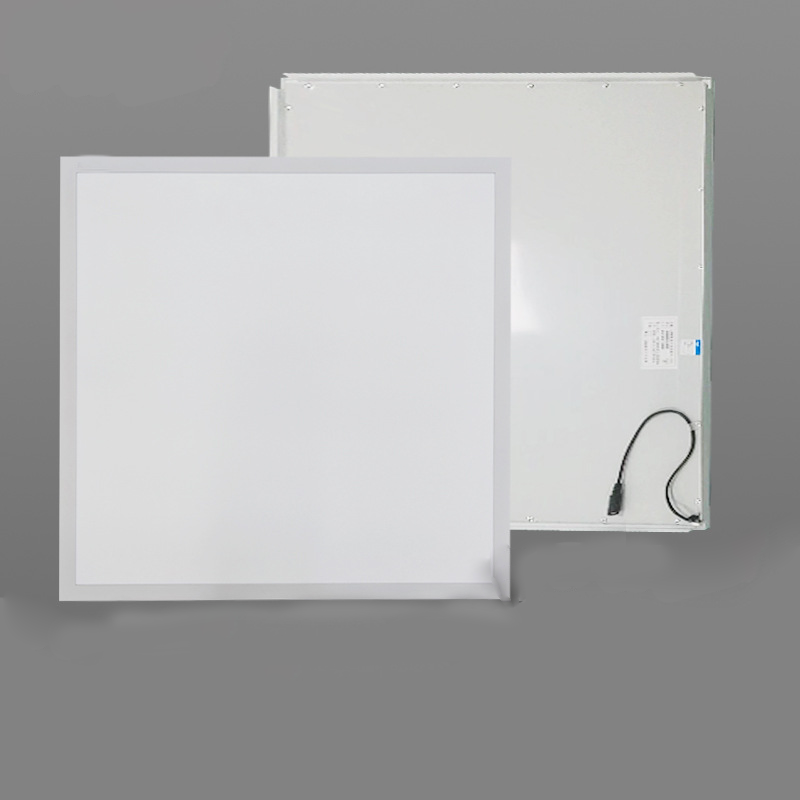 600*600 rechte rand plafondpaneellicht ingebouwd LED geïntegreerd plafond plat paneellicht wit licht stofdicht en insectdicht reinigingslamp
