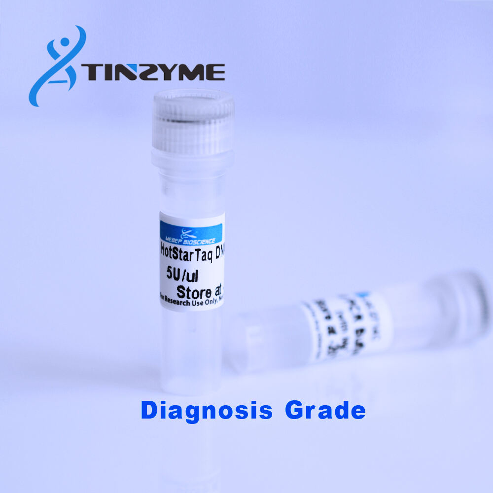 non standard Taq DNA polymerase