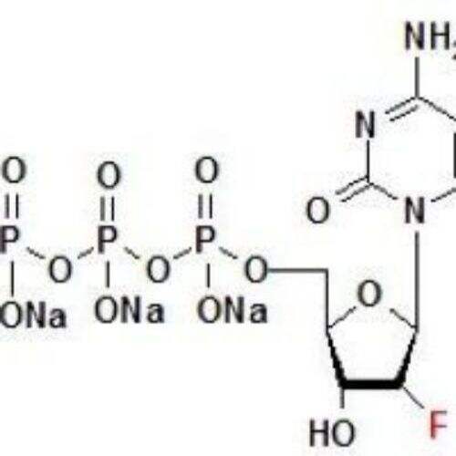 2'-F-dCTP 100mM solution-2'-Fluoro-2'-deoxycytidine-5'-triphosphate, lithium salt solution