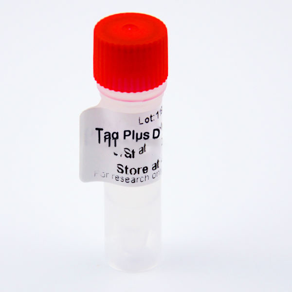 High Fidelity Taq DNA Polymerase