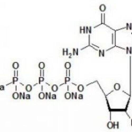 2'-F-dGTP 100mM solution-2'-Fluoro-2'-deoxyguanosine-5'-triphosphate, lithium salt solution