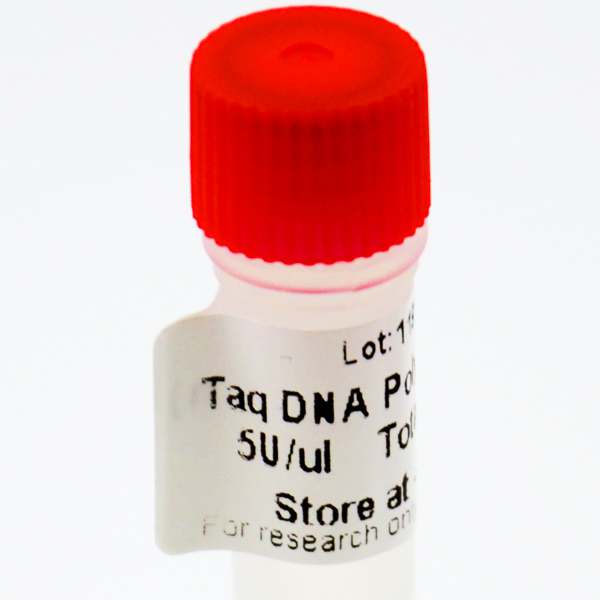 LA Taq DNA Polymerase, Long PCR Polymerase