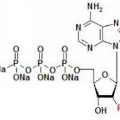 2'-F-dATP 100mM solution-2'-Fluoro-2'-deoxyadenosine-5'-triphosphate, lithium salt solution