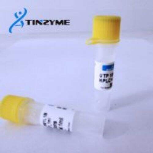 UTP 100mM solution-Uridine 5'-triphosphate, sodium salt solution