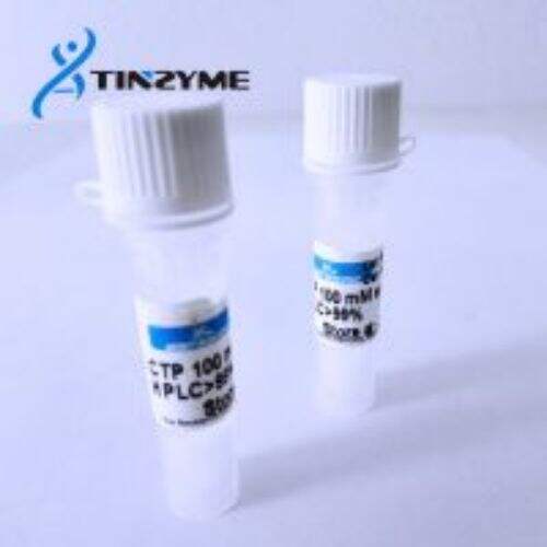 CTP 100mM solution-Cytidine 5'-triphosphate, sodium salt solution