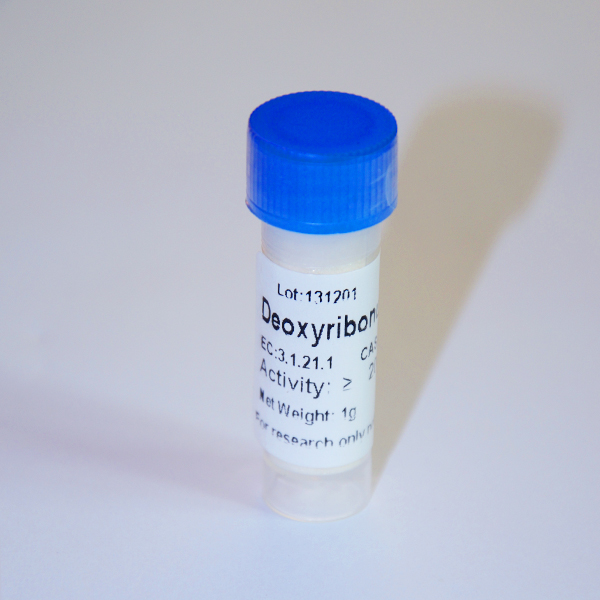 DNase I Recombinant GMP Grade