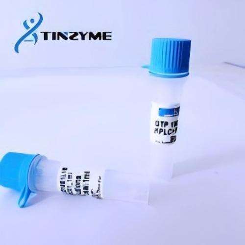 GTP 100mM solution-Guanosine 5'-triphosphate, sodium salt solution