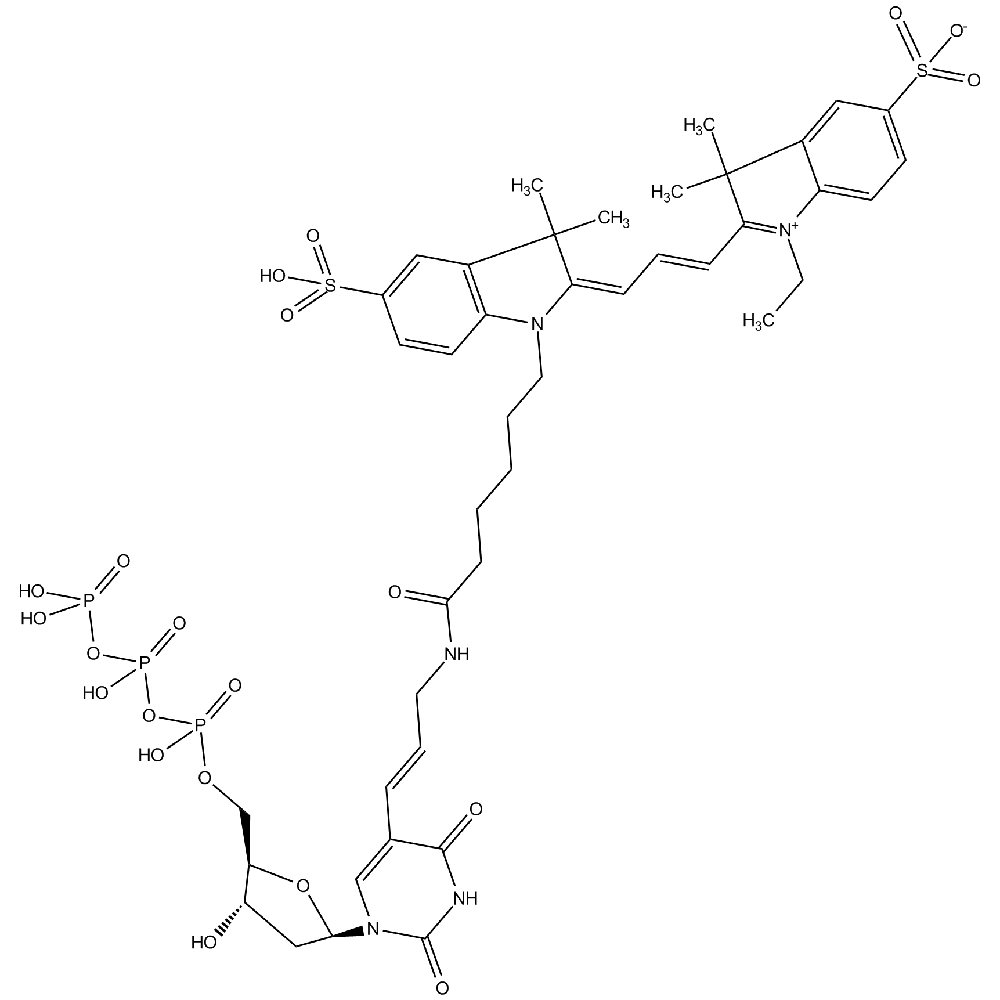 Cy3-dUTP 1mM Sodium solution