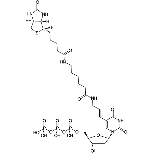 Biotin-11-dUTP 1mM Sodium solution