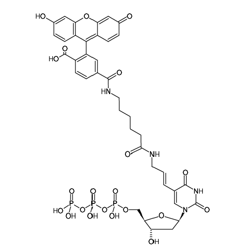 Fluorescein-12-dUTP 1mM Sodium solution