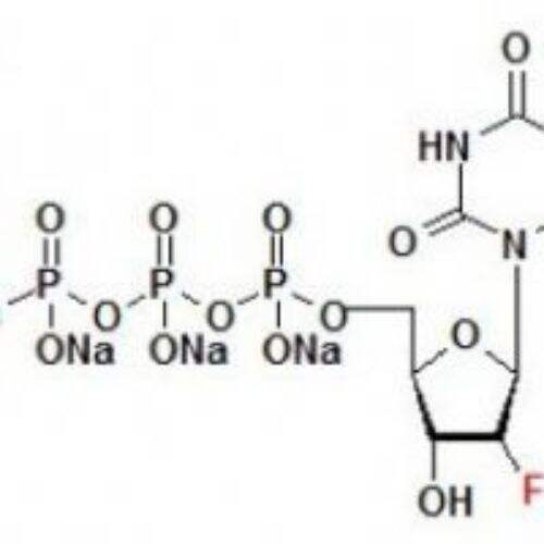 2'-F-dUTP 100mM solution-2'-Fluoro-2'-deoxyuridine-5'-triphosphate, lithium salt solution