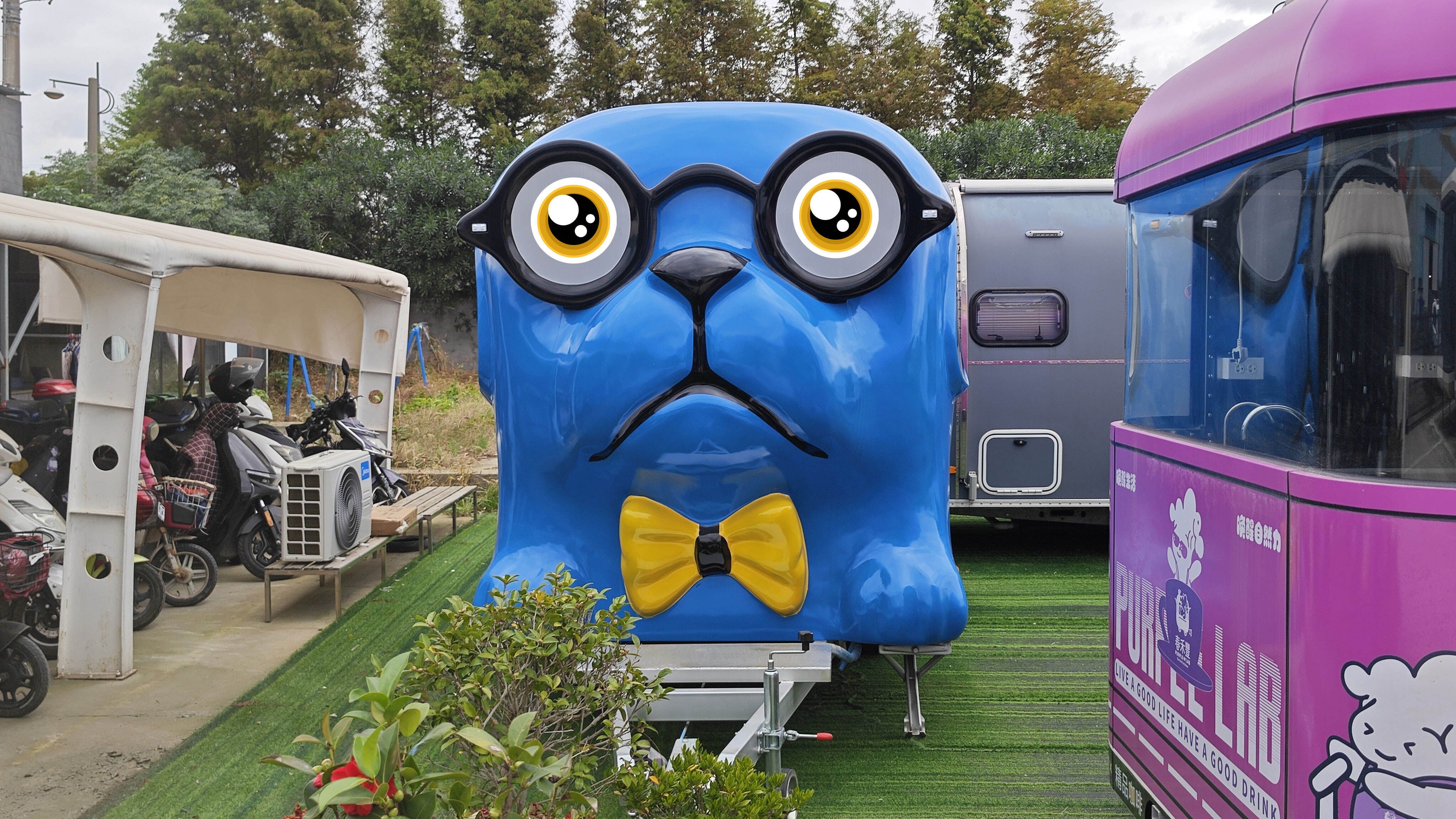 Bỏ qua chi phí thuê salon đắt đỏ—Xe kéo chăm sóc thú cưng di động, giao trực tiếp từ nhà máy!