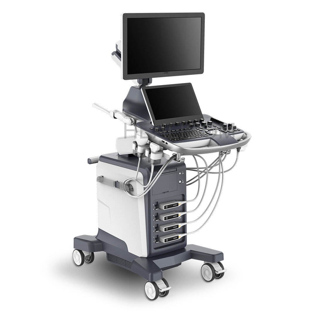 Глобална досягаемост с локална поддръжка