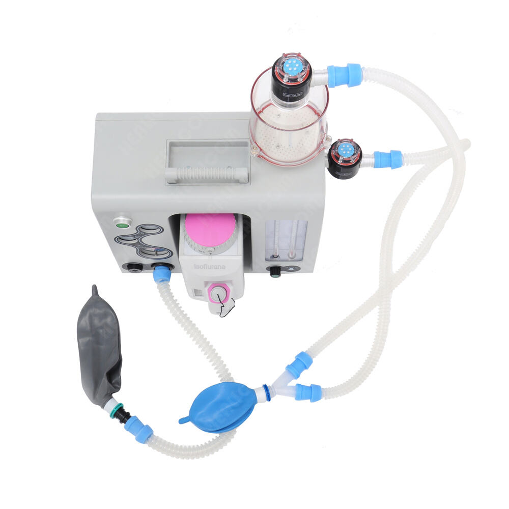 Veterinary Anesthesia Machine: Essential for Animal Surgical Procedures