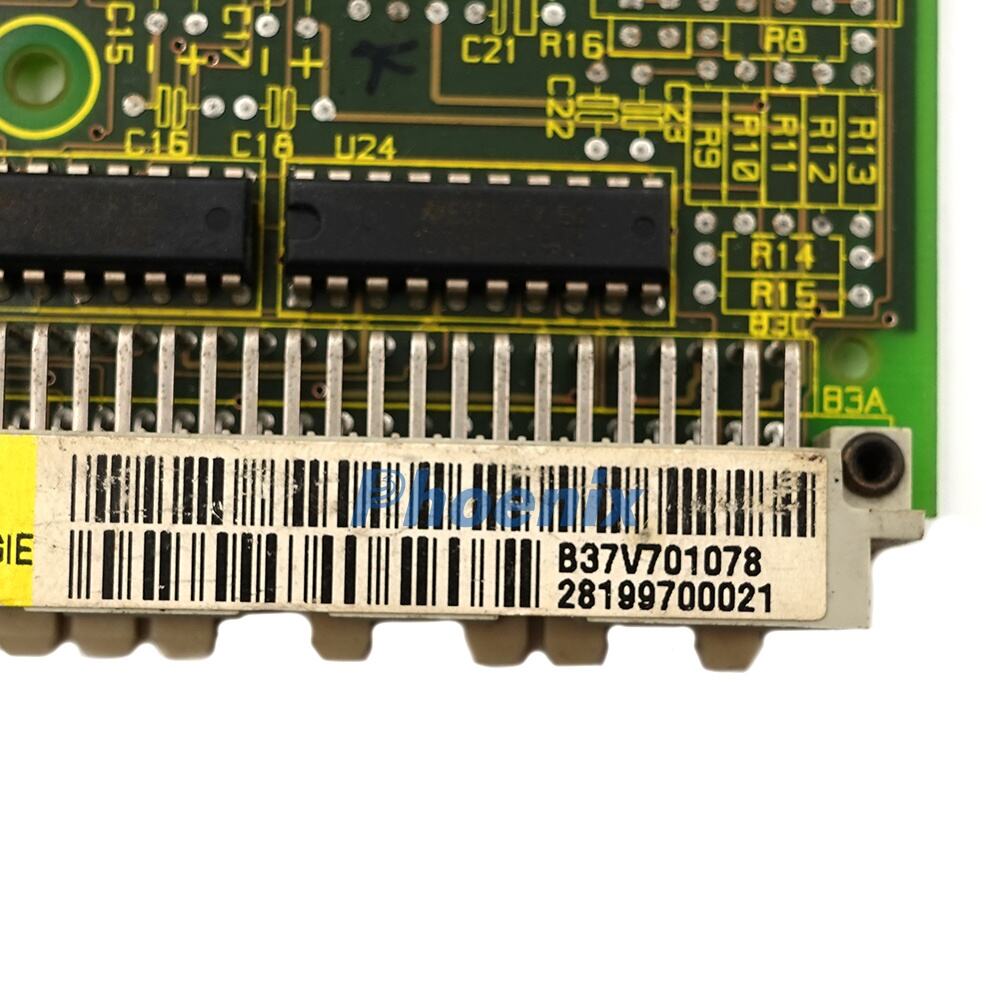 4(3589486cc9).jpg