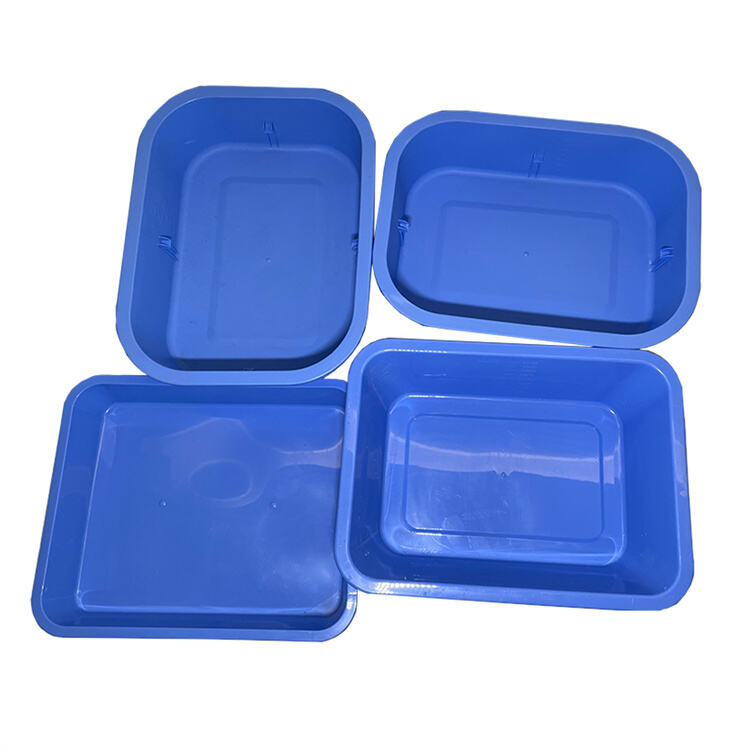 Disposable Tray