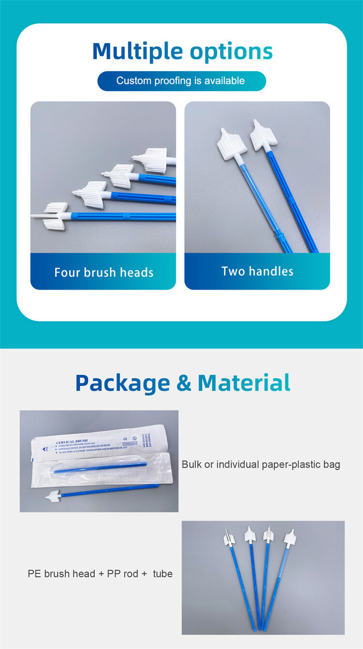 Disposable Cervical Brush 02.jpg
