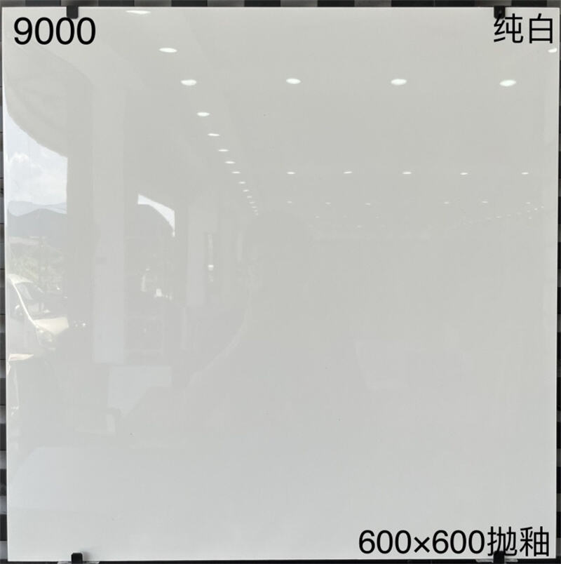 image4.jpg