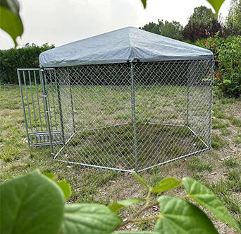 Hexagonal Dog Run Kennel HBT-DR151515