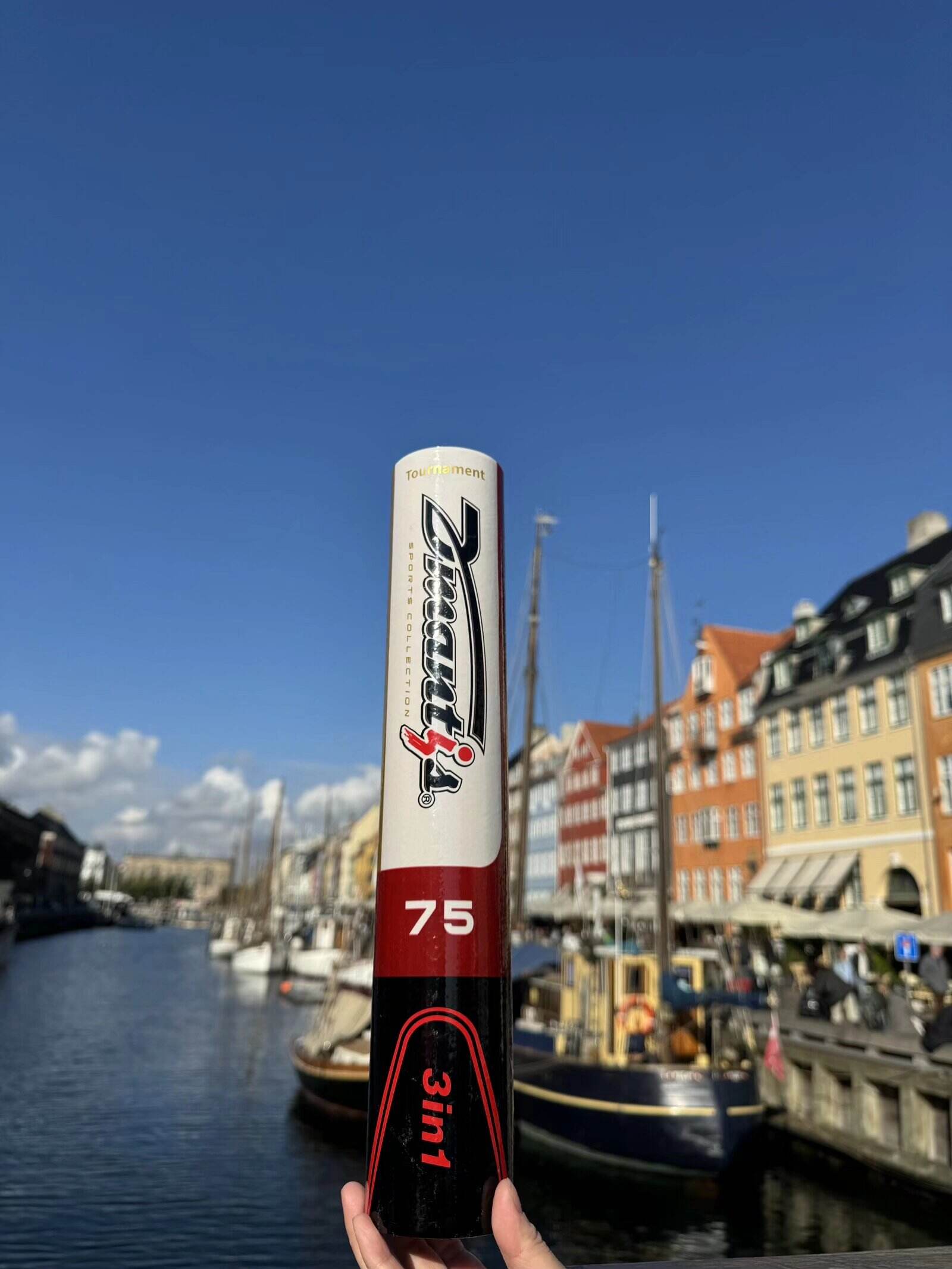 Dmantis Europe Tour: Spreading Wings Across the Continent