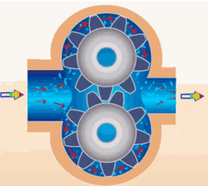 What is the essential difference between a single acting vane pump and a double acting vane pump?