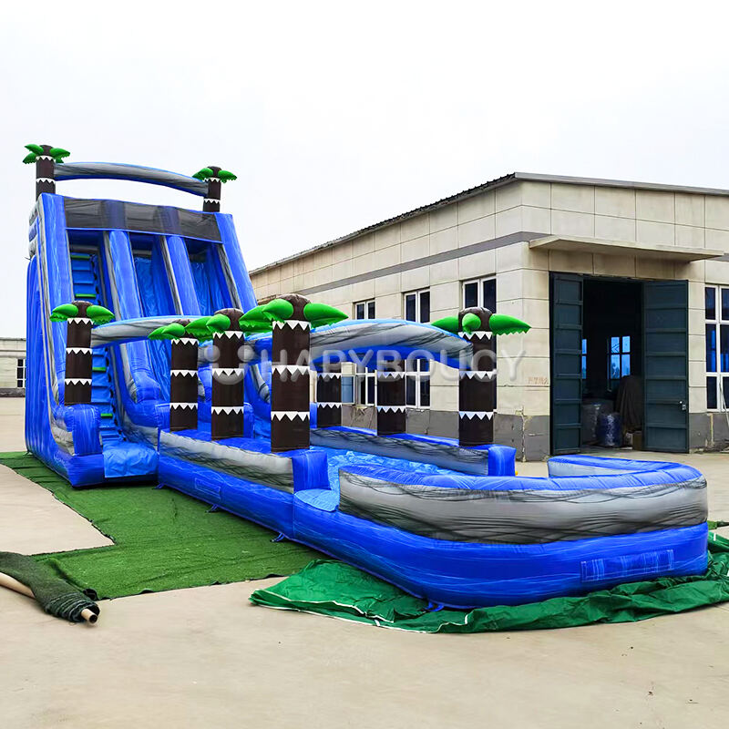 Manufacturer Blue Dual Lane Waterslide Inflatable Tropical Water Slide with Pool Adults Party Large Slip for Sale