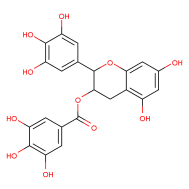 (-)-Epigallocatechin gallate CAS 989-51-5 supplier