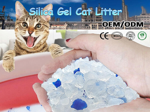 Silica Gel Cat Litter: Key Benefits, Drawbacks, and Comparison Guide