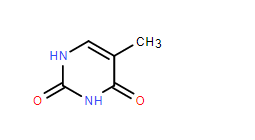 Thymine