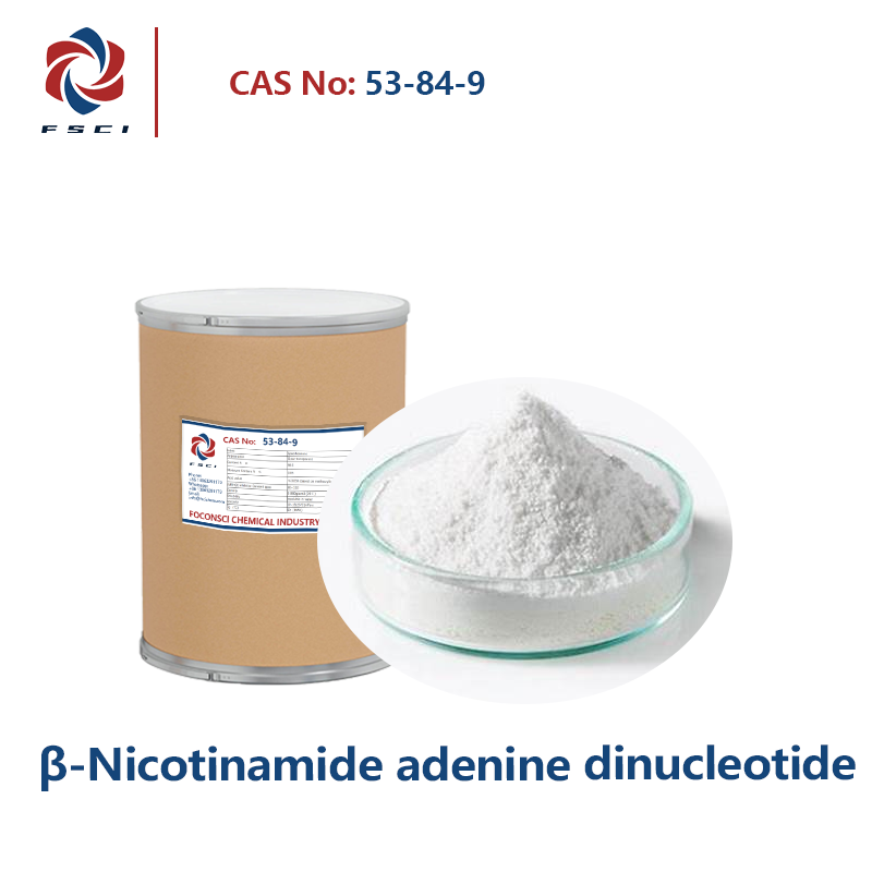 β-nikotínamid adenín dinukleotid (NAD) CAS 53-84-9