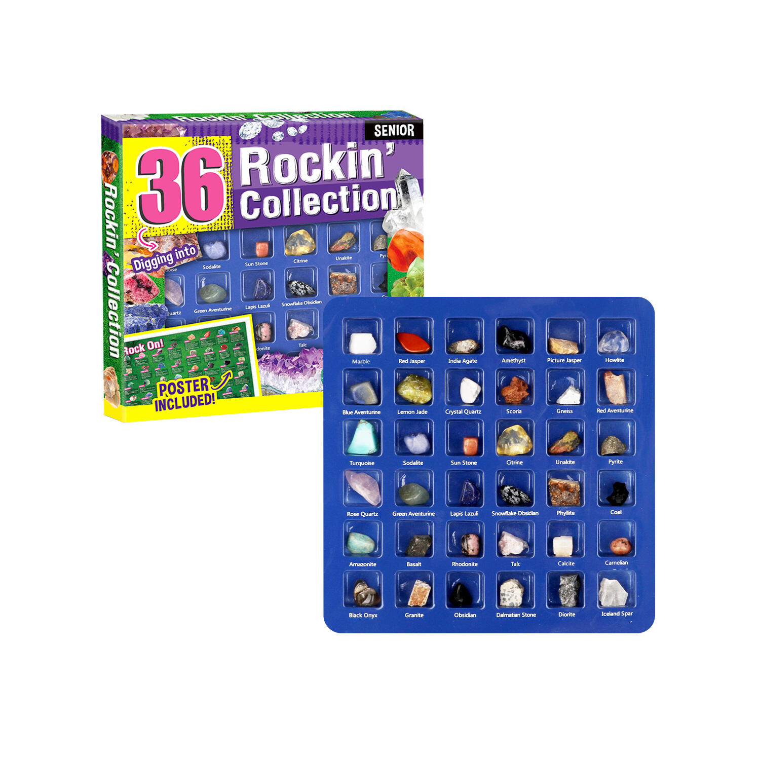 Rockin’ Collection - 36Pcs Middle