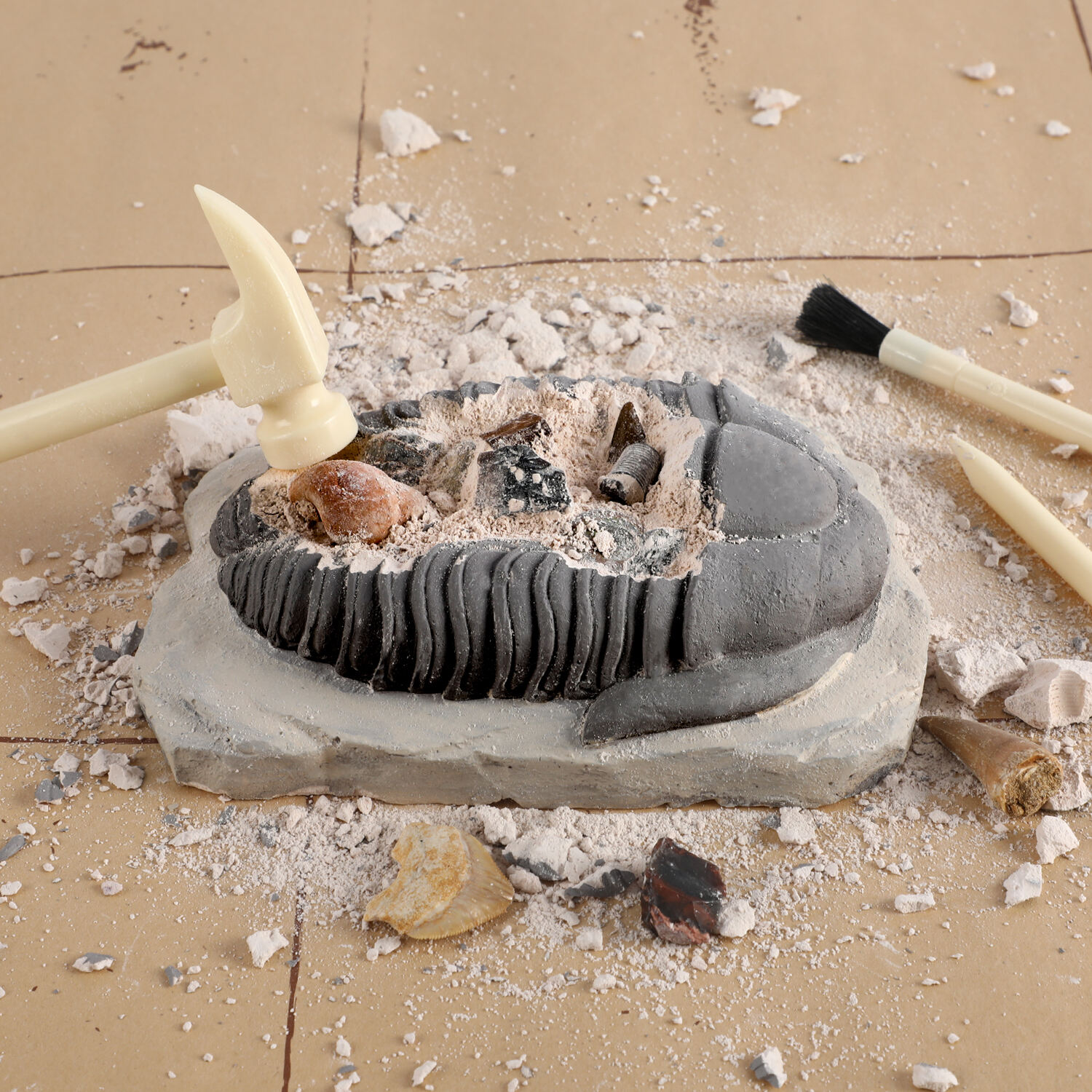FOSSIL DIG KIT, China FOSSIL DIG KIT Manufacturers, Suppliers, Factory ...