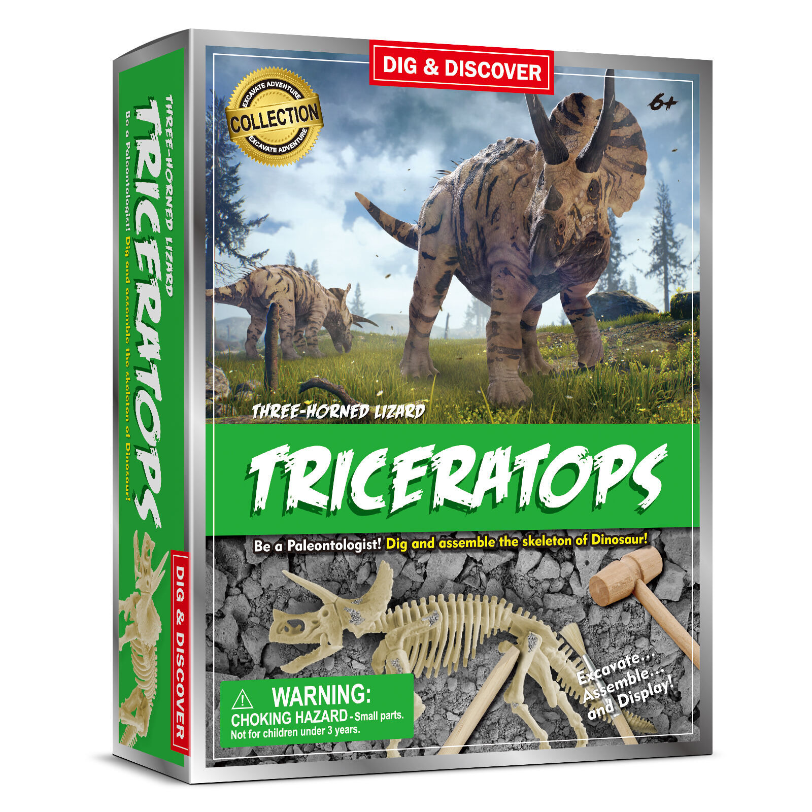 Triceratops